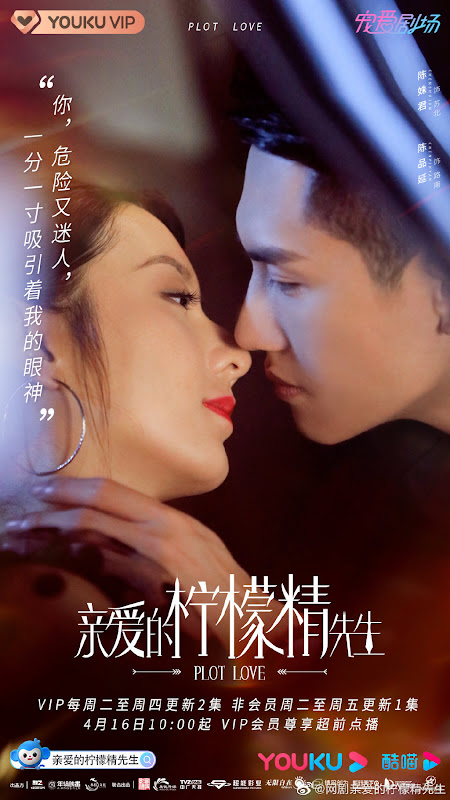 Plot Love China Web Drama